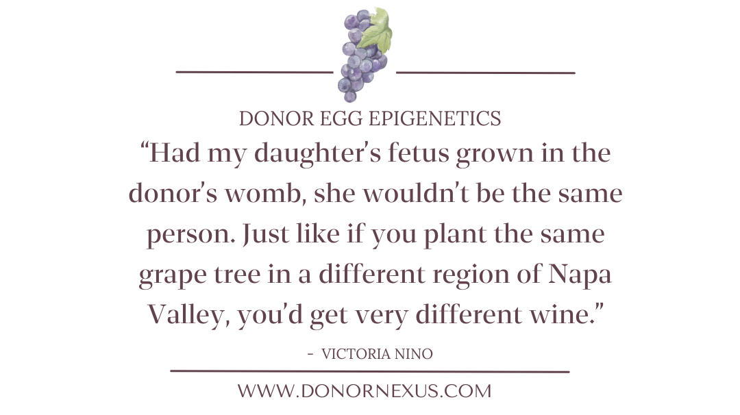 Donor egg epigenetics tell us that the environment of the birth mother's womb can affect gene development. Learn more!