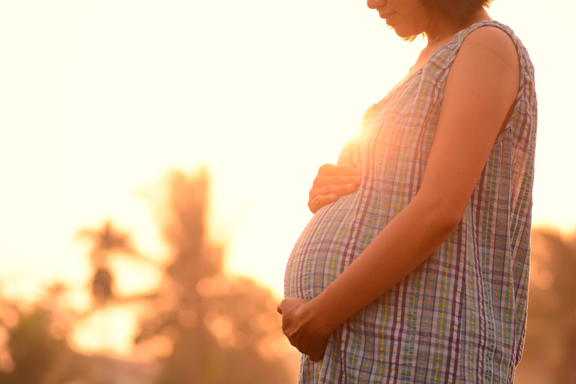 It's important to note that while the egg donor contributes genetically to the baby, she does not have a biological connection in terms of gestation or being the birth mother. The woman who carries and gives birth to the baby, whether the intended mother or a surrogate, is the one who provides the gestational and nurturing environment during pregnancy.
