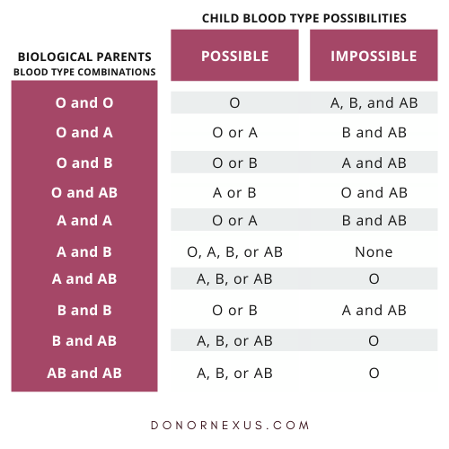 Blood Type Chart What Are The Different Blood Types 57 OFF