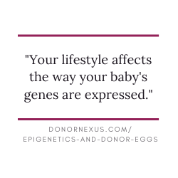 Learn about the epigenetics of using donor eggs and how your lifestyle affects your baby. 