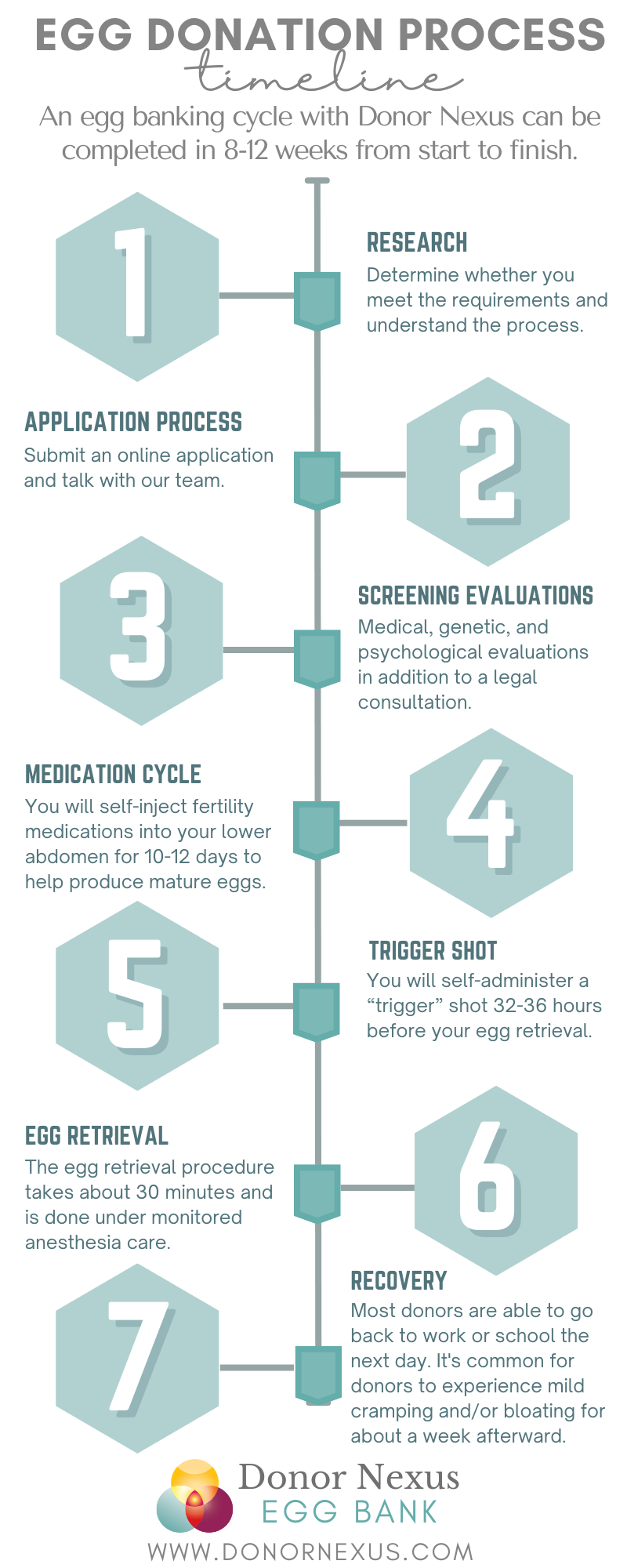 Egg Donation Process Timeline: Egg Donation takes 8-12 weeks with the Donor Nexus Egg Bank. Learn more!