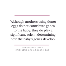 Are you considering using donor eggs and wondering if your baby will look like you? Learn more in our blog!