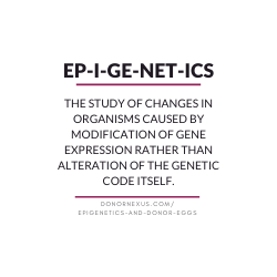 Epigenetics reveals a connection between birth mothers using donor eggs and their unborn child. Learn more in by reading this Donor Nexus blog!